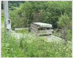  2025Ÿ��20698 ���� ���ֽ� ����� ��ȸ� 142      ����(��)���