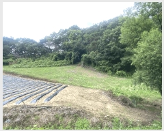  2025Ÿ��20708 ���� ���ֽ� �ηи� �հ 130      ����(��1)���