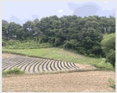  2025Ÿ��20708 ���� ���ֽ� �ηи� �հ 130      ����(��1)���