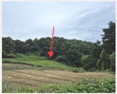  2025Ÿ��20708 ���� ���ֽ� �ηи� �հ 130      ����(��1)���