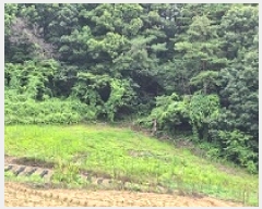  2025Ÿ��20708 ���� ���ֽ� �ηи� �հ 130      ����(��1)���