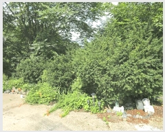  2025Ÿ��20712  ���ð��