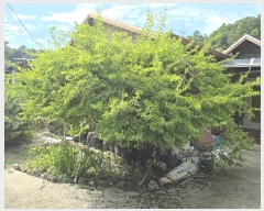  2025Ÿ��20712  ���ð��