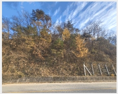  2025Ÿ��20736  �Ӿ߰��