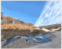  2025Ÿ��20736  �Ӿ߰��