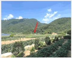  2025Ÿ��20740  �����