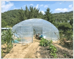  2025Ÿ��20740  �����