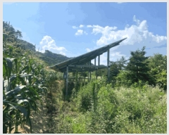  2025Ÿ��20740  �����