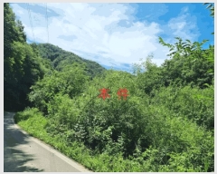  2025Ÿ��20778  ����