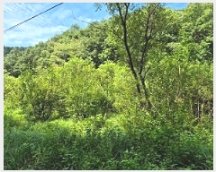  2025Ÿ��20778  ����