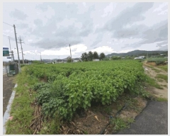  2025Ÿ��20880 ���� ���ֽ� �౸�� 1073-2       ����(��1)���