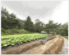  2025Ÿ��20908 ���� Ⱦ���� �г��� ��õ�� ��7-2      ����(�Ӿ�)���