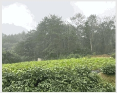  2025Ÿ��20908 ���� Ⱦ���� �г��� ��õ�� ��7-2      ����(�Ӿ�)���