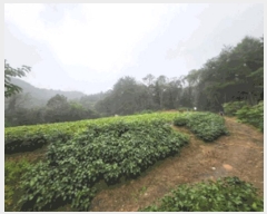  2025Ÿ��20908 ���� Ⱦ���� �г��� ��õ�� ��7-2      ����(�Ӿ�)���