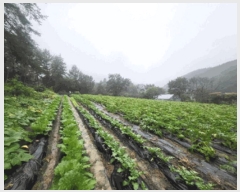  2025Ÿ��20908 ���� Ⱦ���� �г��� ��õ�� ��7-2      ����(�Ӿ�)���