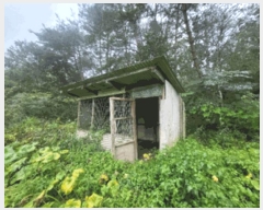  2025Ÿ��20908 ���� Ⱦ���� �г��� ��õ�� ��7-2      ����(�Ӿ�)���