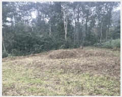  2025Ÿ��20908 ���� Ⱦ���� �г��� ��õ�� ��7-2      ����(�Ӿ�)���