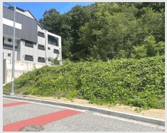  2025Ÿ��20919  �������