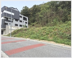  2025Ÿ��20919  �������