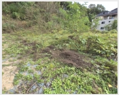  2025Ÿ��20919  �������