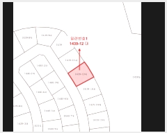  2025Ÿ��20919  �������