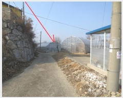  2025Ÿ56  籺 վ  43-1      (1)