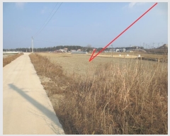  2025Ÿ56  籺 վ  43-1      (1)