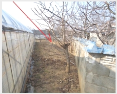  2025Ÿ56  籺 վ  43-1      (1)