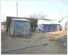  2025Ÿ56  籺 վ  43-1      (1)