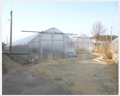  2025Ÿ56  籺 վ  43-1      (1)