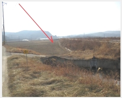  2025Ÿ56  籺 վ  43-1      (1)