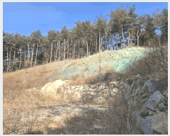  2025Ÿ��193  �Ӿ߰��