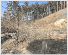  2025Ÿ��193  �Ӿ߰��