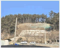  2025Ÿ��193  �Ӿ߰��