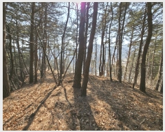  2025Ÿ��193  �Ӿ߰��