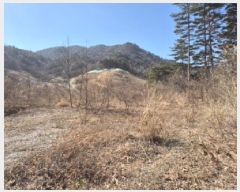  2025Ÿ��193  �Ӿ߰��