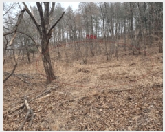  2025Ÿ��201  �������