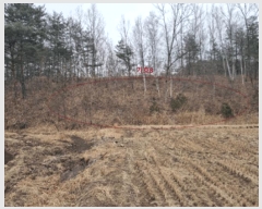  2025Ÿ��201  �������