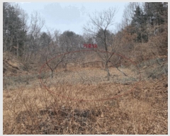  2025Ÿ��201  �������