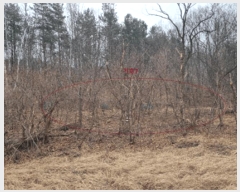  2025Ÿ��201  �������