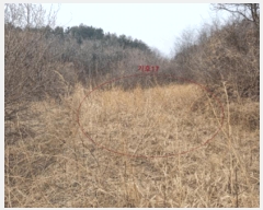  2025Ÿ��201  �������