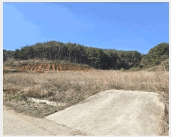  2025Ÿ��211  �����