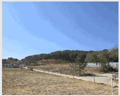  2025Ÿ��211  �����