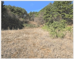  2025Ÿ��211  �����