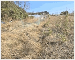  2025Ÿ��211  �����