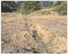  2025Ÿ��211  �����