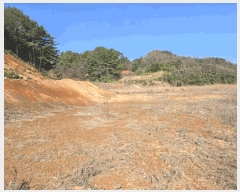  2025Ÿ��211  �����