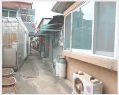  2025Ÿ��219  ���ð��