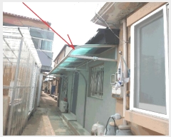  2025Ÿ��219  ���ð��