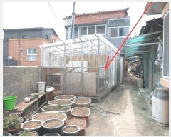  2025Ÿ��219  ���ð��